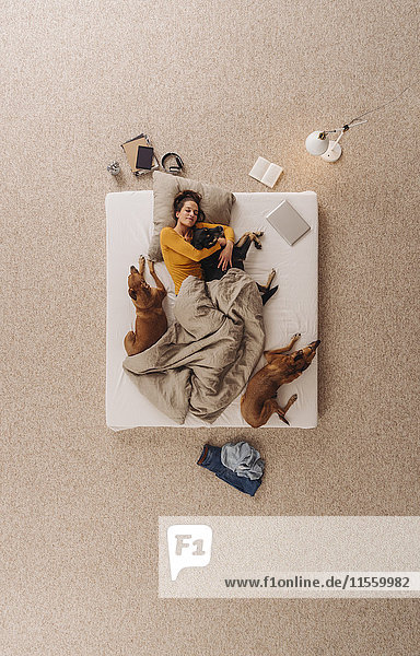 Frau mit ihren Hunden im Bett liegend  kuschelnd