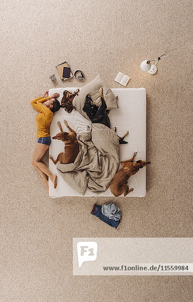Frau schläft mit ihren Hunden im Bett  auf dem Rand liegend