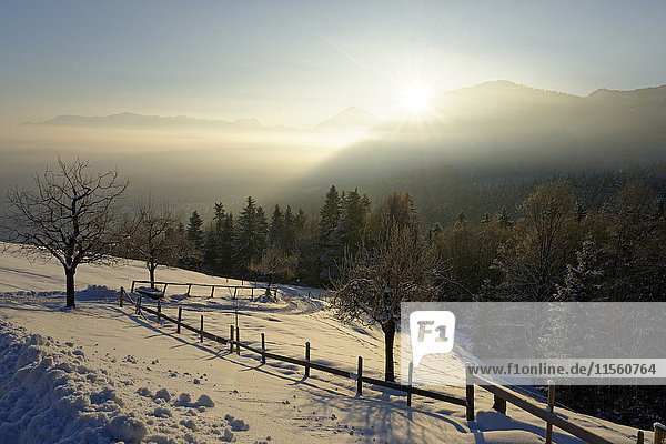 Deutschland  Bayern  Sonnenaufgang bei Kogl am Auerberg im Winter