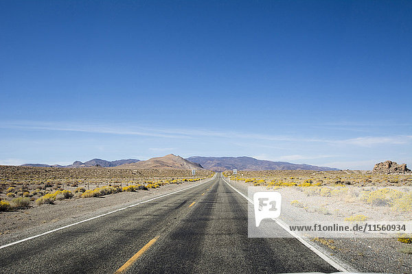 USA  Nevada  leere Straße