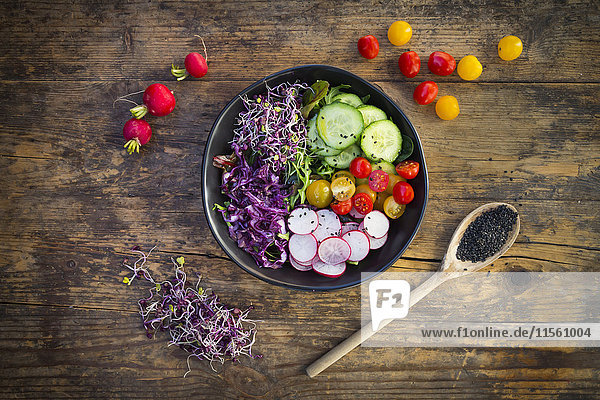 Mittagsschale mit Bio-Blattsalat,  Rotkohl,  Tomaten,  Gurken und Rettichsprossen