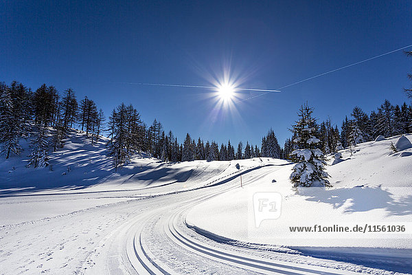 Österreich  St. Johann im Pongau  Alpendorf  Obergassalm  verschneite Winterlandschaft