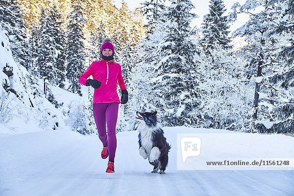 Österreich  Tirol  Karwendel  Riss-Tal  Frau joggen mit Hund im Winterwald