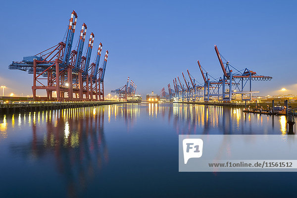 Deutschland  Hamburg  Hamburger Hafen  Containerterminal am Morgen