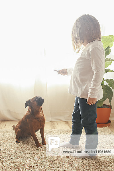 Kleines Mädchen trainiert ihren Hund  um zu Hause zu sitzen.