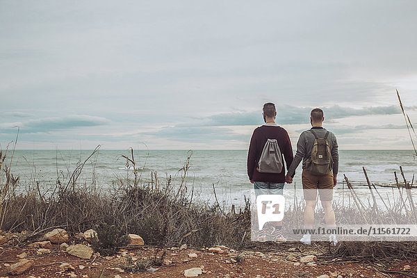 Rückansicht des jungen schwulen Paares mit Blick aufs Meer