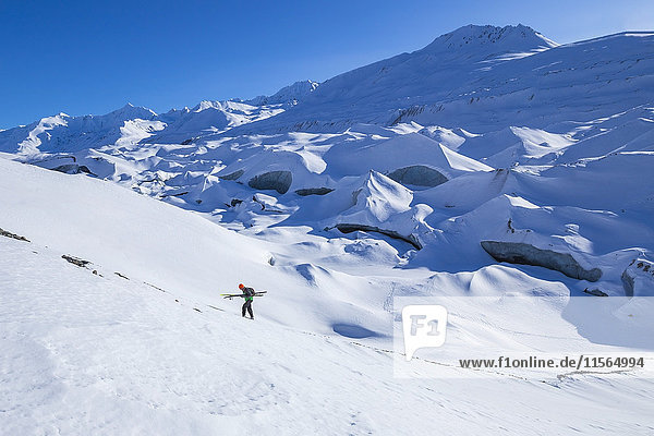 Ein Mann trägt Skier einen steilen Hügel hinauf  während er die schneebedeckte Moräne des Canwell-Gletschers erkundet  im Inneren Alaskas  USA