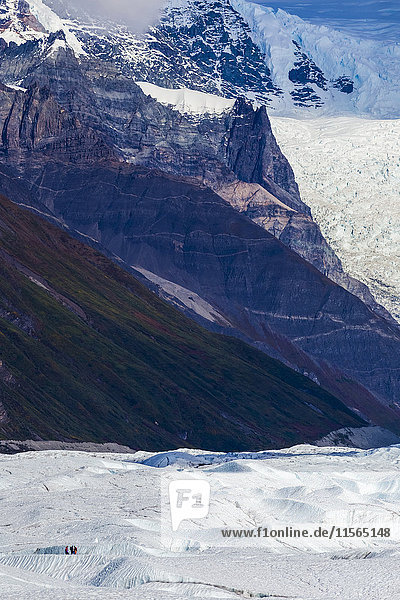 People on Root Glacier in Wrangell-St. Elias National Park are dwarfed by the surrounding landscape  including the massive Stairway Icefall in the background  Southcentral Alaska  USA