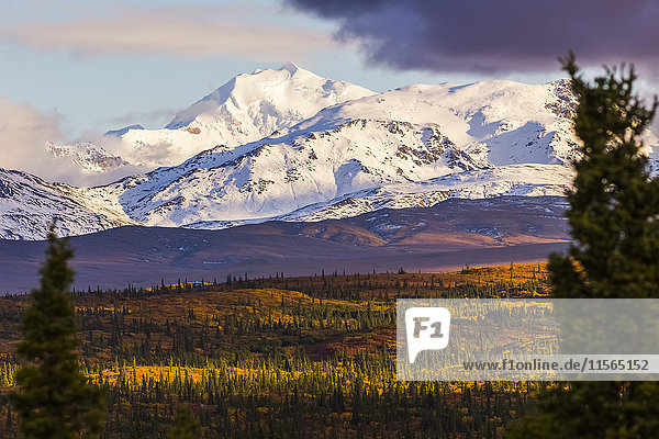 Mt. Silvertip leuchtet im Herbst in der Abendsonne  gesehen vom Richardson Highway südlich von Delta Junction; Alaska  Vereinigte Staaten von Amerika'.