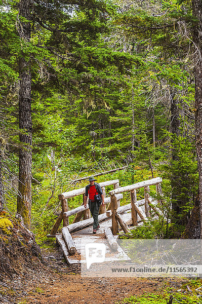 'A man hiking across a log bridge on the Turnagain Pass Trail in the Chugach National Forest  South-central Alaska; Alaska  United States of America'