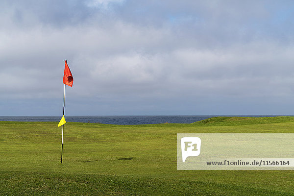 Eine rote Flagge an einem Loch auf einem Golfplatz an der Küste; Dunbar  Schottland'.