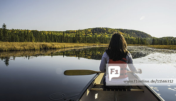 'Woman canoeing in Algonquin Park; Ontario  Canada'