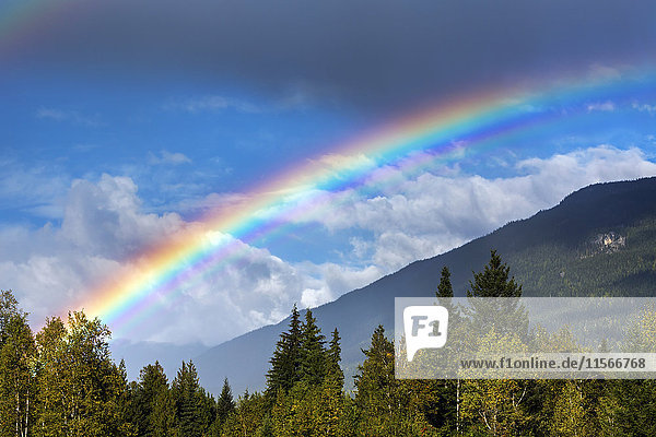 Bunter Regenbogen über dem Himmel mit Berghang,  Gewitterwolken und blauem Himmel im Hintergrund; Revelstoke,  British Columbia,  Kanada'.