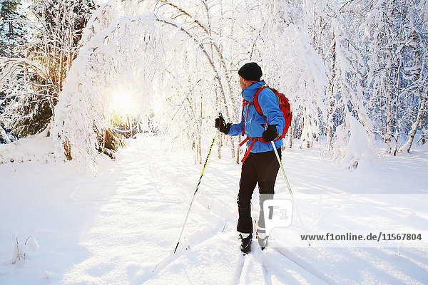 Man skiing in scenics forest