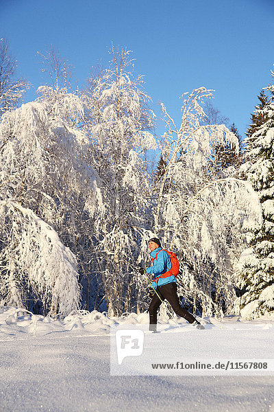 Man skiing in scenics forest
