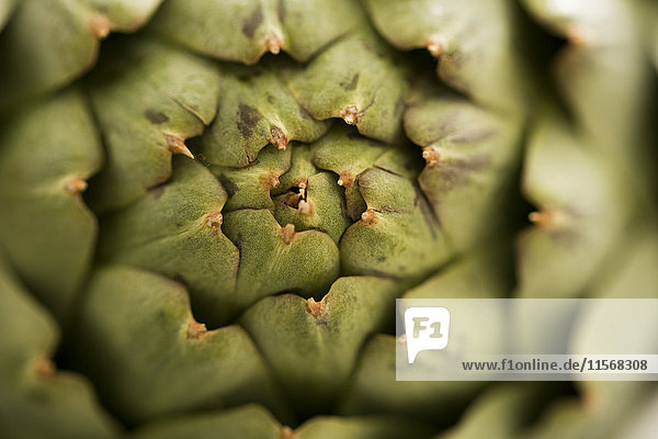 Close-up of green artichoke