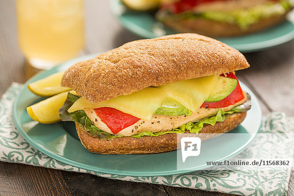 Fresh sandwich on plate