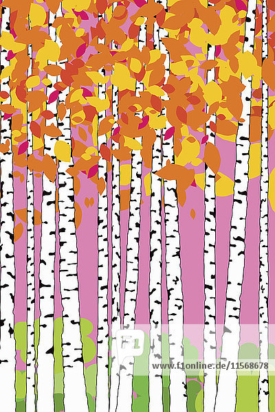 Abstract pattern of birch trees with autumn leaves