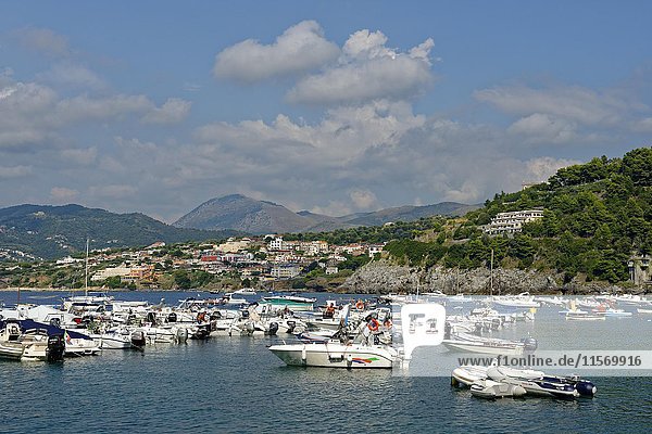 Hafen mit Booten  Palinuro  Cilento Nationalpark  Parco Nazionale Cilento  Vallo Diano e Alburni  Provinz Salerno  Kampanien  Italien  Europa