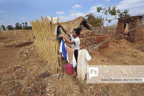 Frau hängt nasse Kleidung auf eine Wäscheleine  Dorf Analakely  Gemeinde Tanambao  Bezirk Tsiroanomandidy  Region Bongolava  Madagaskar  Afrika