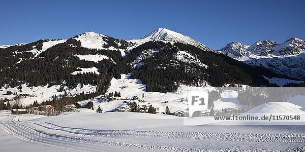 Mittelberg im Winter  Kleinwalsertal  Allgäuer Alpen  Vorarlberg  Österreich  Europa