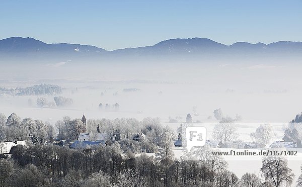Morgennebel im Winter über dem Loisachtal  Dorf Zell bei Großweil  Oberbayern  Bayern  Deutschland  Europa