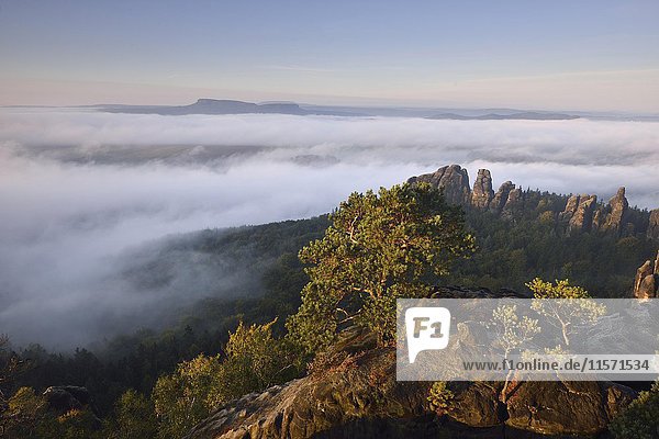Dense fog  morning atmosphere  view from the Schrammstein prospect Elbe Valley in the Saxon Switzerland  Saxon Switzerland  Saxony  Germany  Europe