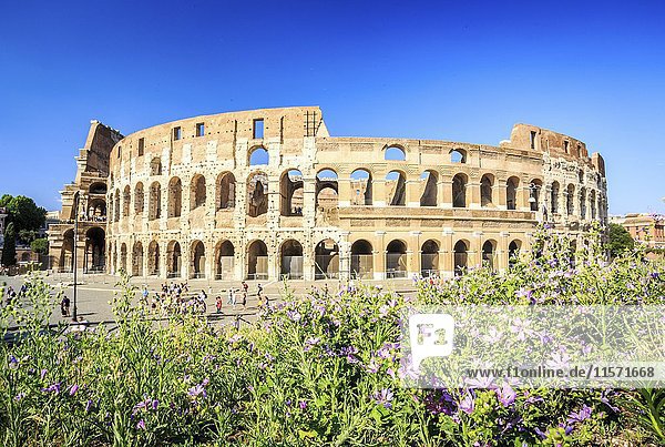 Colosseum  Rome  Lazio  Italy  Europe