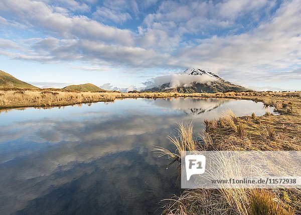 Reflection in Pouakai Tarn  stratovolcano Mount Taranaki or Mount Egmont  Egmont National Park  Taranaki  New Zealand  Oceania