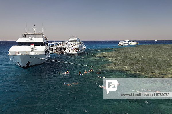 Ankernde Schiffe  Touristen beim Schnorcheln am Korallenriff  Rotes Meer  Ägypten  Afrika