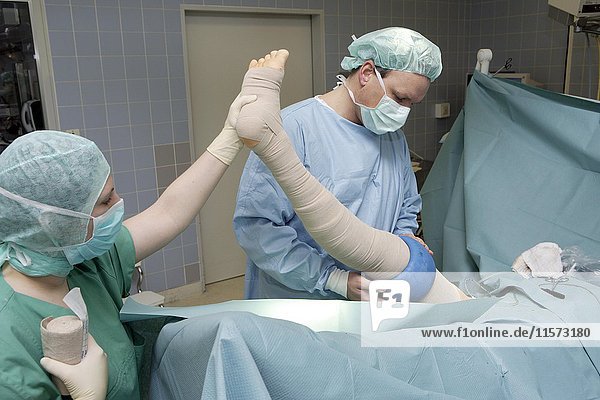 Ärzteteam bei der Operation  Ziehen von Krampfadern  Gefäßchirurgie  Düsseldorf  Nordrhein-Westfalen  Deutschland  Europa