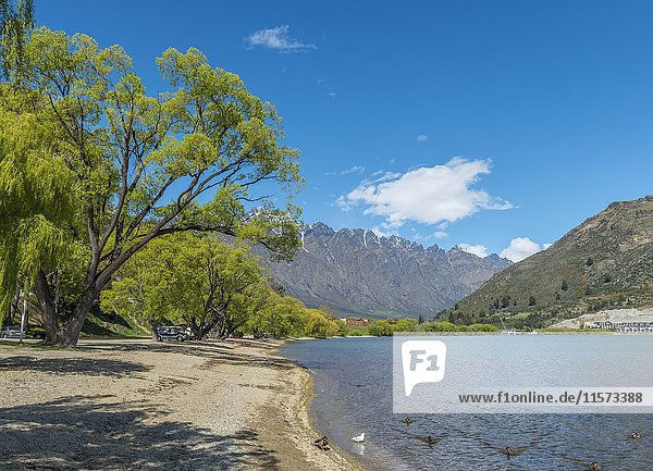 Strand Lake Wakatipu hinten Bergkette The Remarkables Queenstown Otago Südinsel Neuseeland Ozeanien