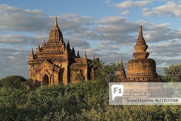 Tempel und Pagoden  Bagan  Mandalay  Myanmar  Asien