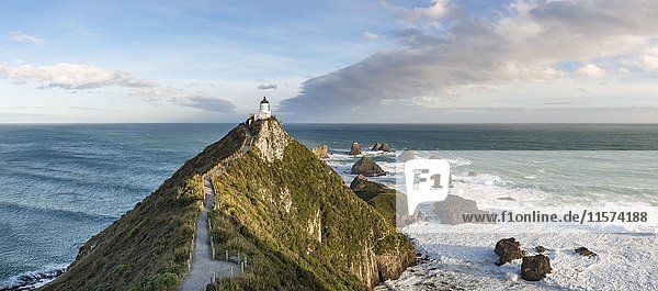 Leuchtturm am Nugget Point  Catlins  Otago  Südland  Neuseeland  Ozeanien