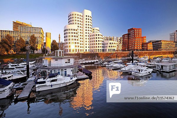 Marina mit Gehry-Gebäuden im Abendlicht  Düsseldorf  Nordrhein-Westfalen  Deutschland  Europa
