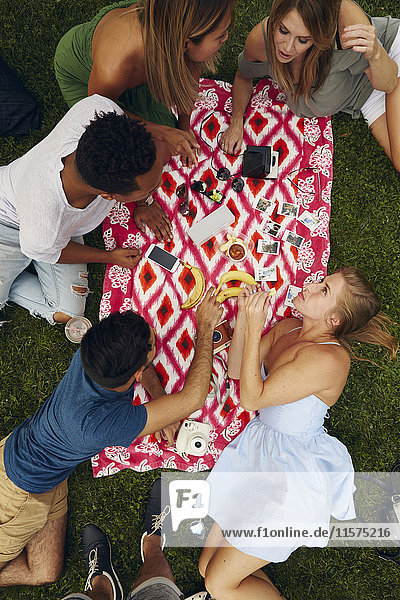 Overhead view of five adult friends picnicking in park