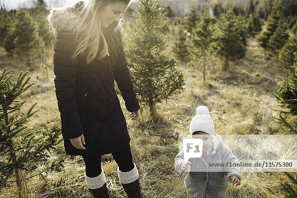 Mother and baby girl in Christmas tree farm  Cobourg  Ontario  Canada
