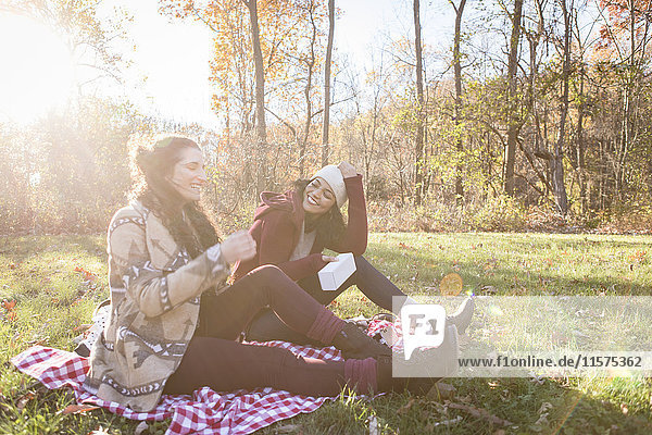 Two young women sitting on picnic blanket laughing