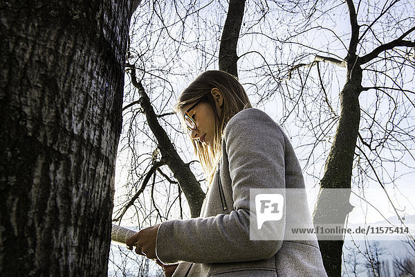 Young woman standing beside tree  reading book  low angle view