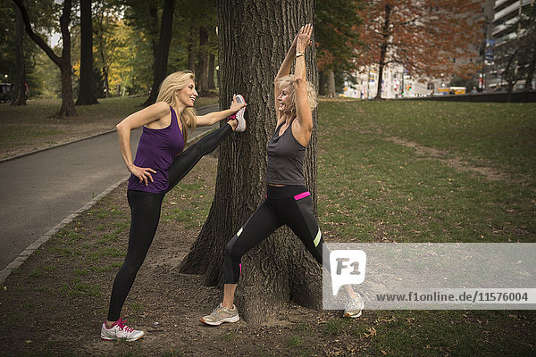 Zwei reife Freundinnen trainieren im Park  Stretching