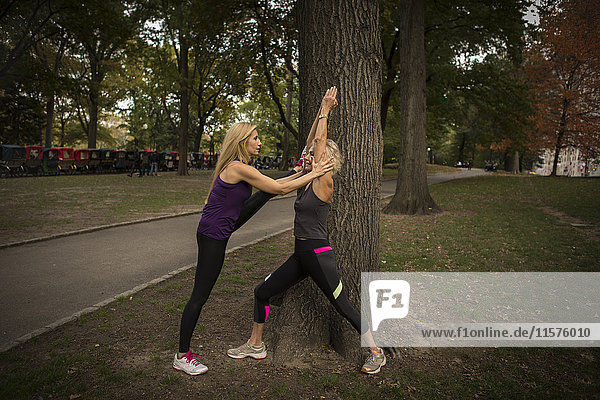 Zwei reife Freundinnen trainieren im Park  Stretching