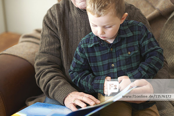 Boy sitting on grandfather's lap reading book