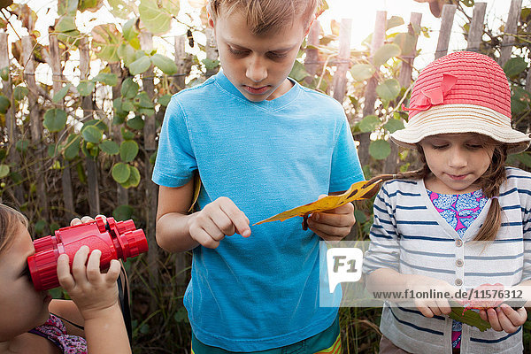 Kinder  die Blätter untersuchen  Blowing Rocks Preserve  Jupiter  Florida  USA