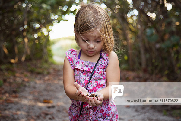 Mädchen hält Muscheln  Blowing Rocks Preserve  Jupiter  Florida  USA