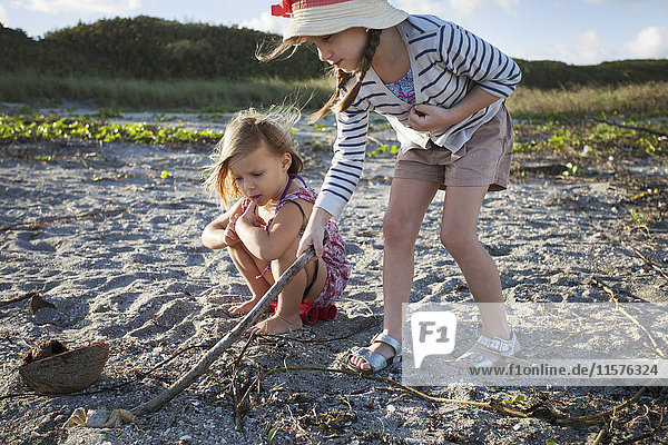 Girls searching for shells on beach  Blowing Rocks Preserve  Jupiter  Florida  USA