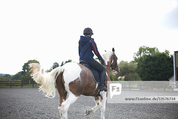 Junge Frau reitet Pferd auf der Koppel  Rückansicht