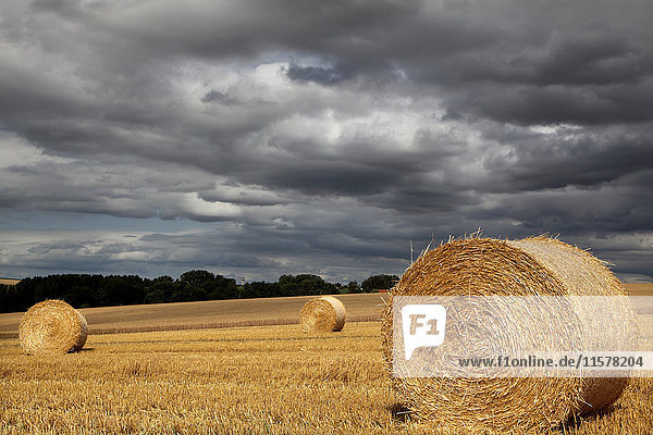 Frankreich Weizenfelder und bewölkter Himmel