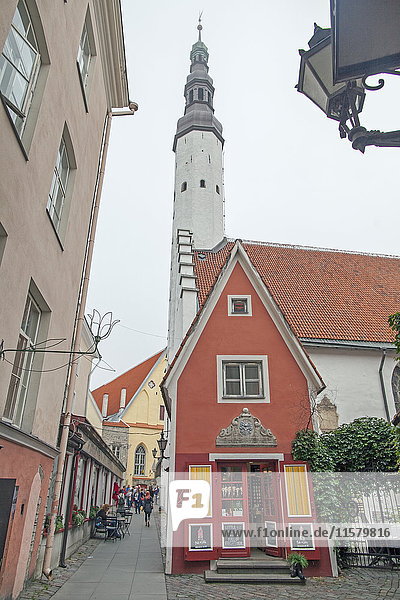 Estland  Tallinn  Rathausturm