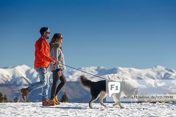 Paar Spaziergangshunde in schneebedeckter Berglandschaft
