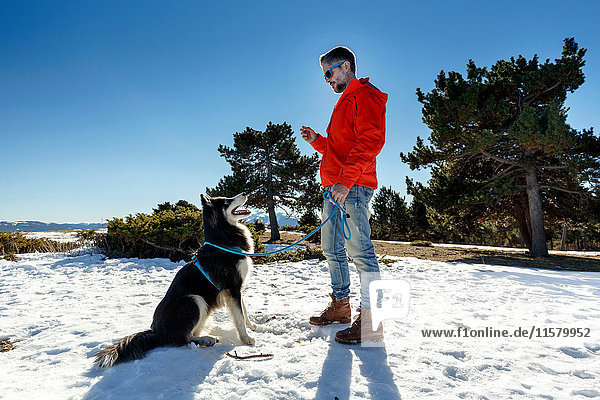 Mature man training dog in snow covered landscape